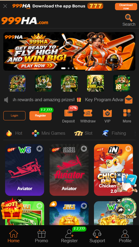 999ha game Interface